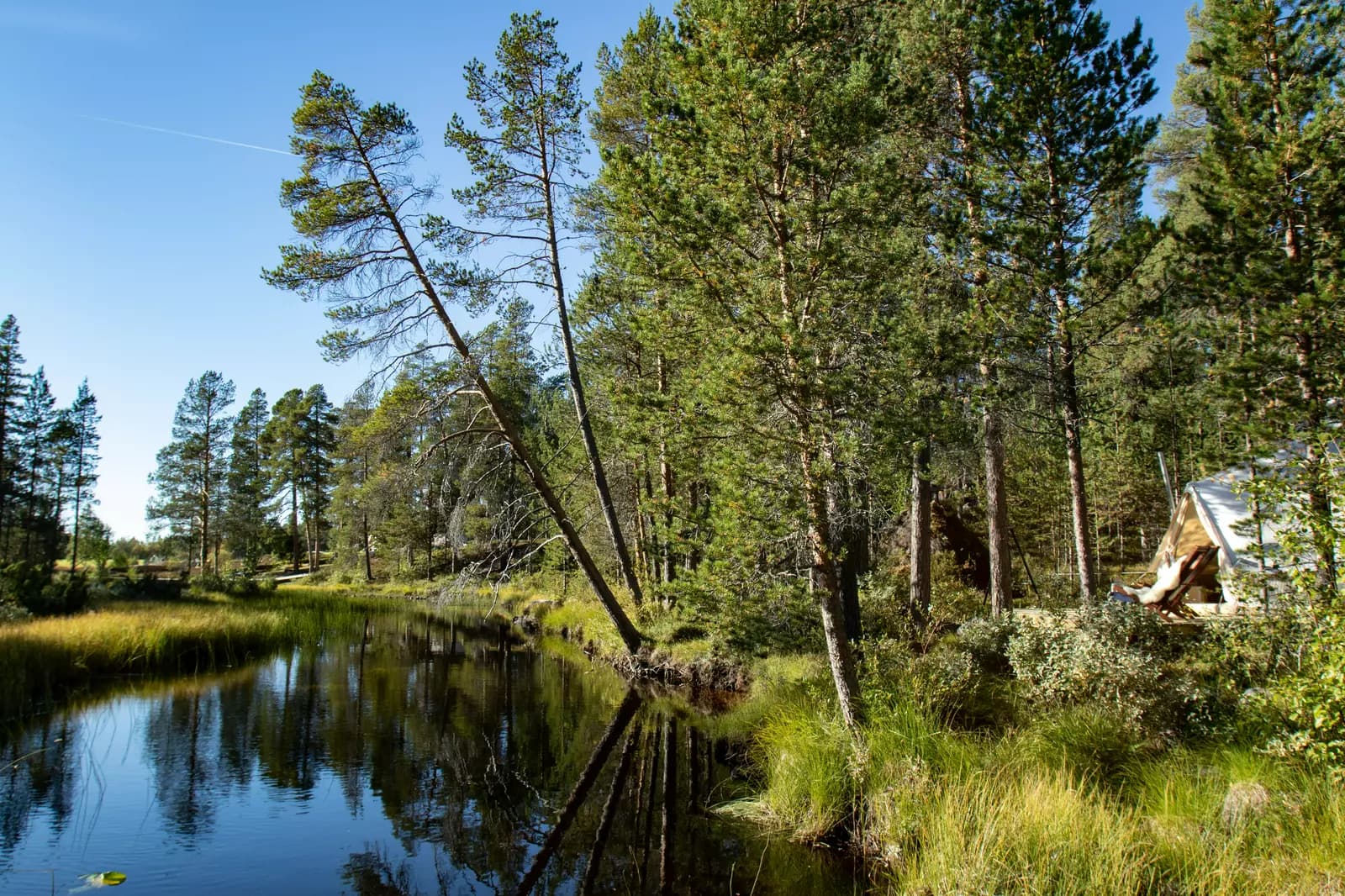 image gallery