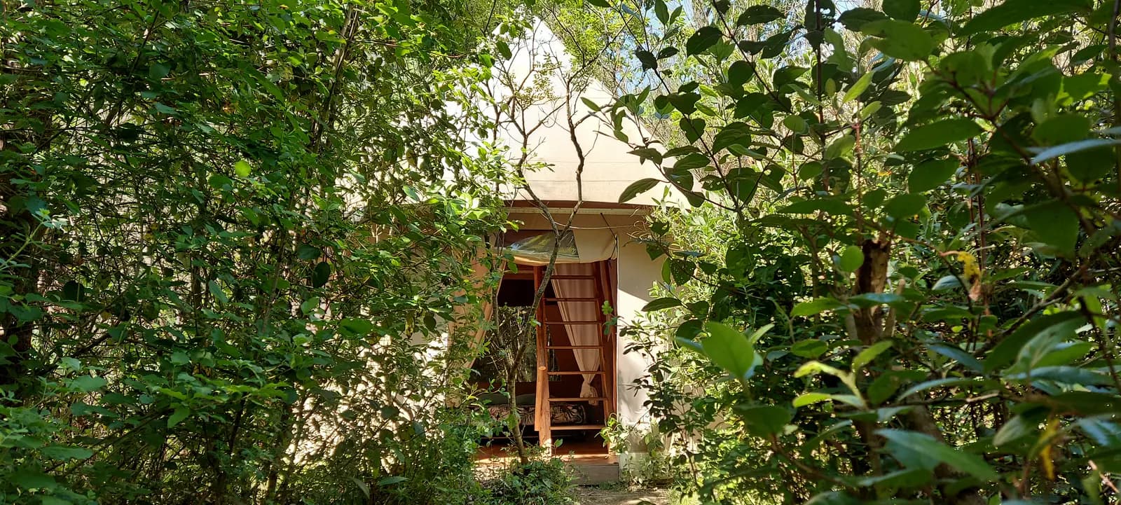 image gallery