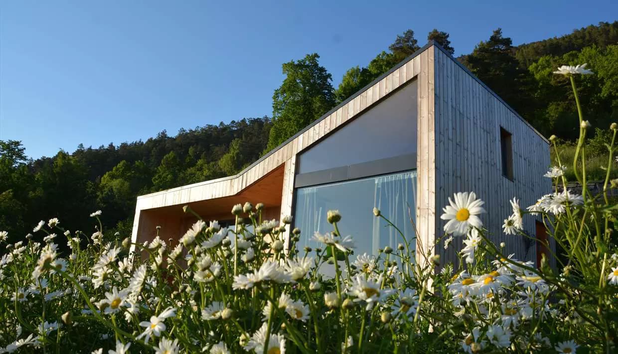 image gallery