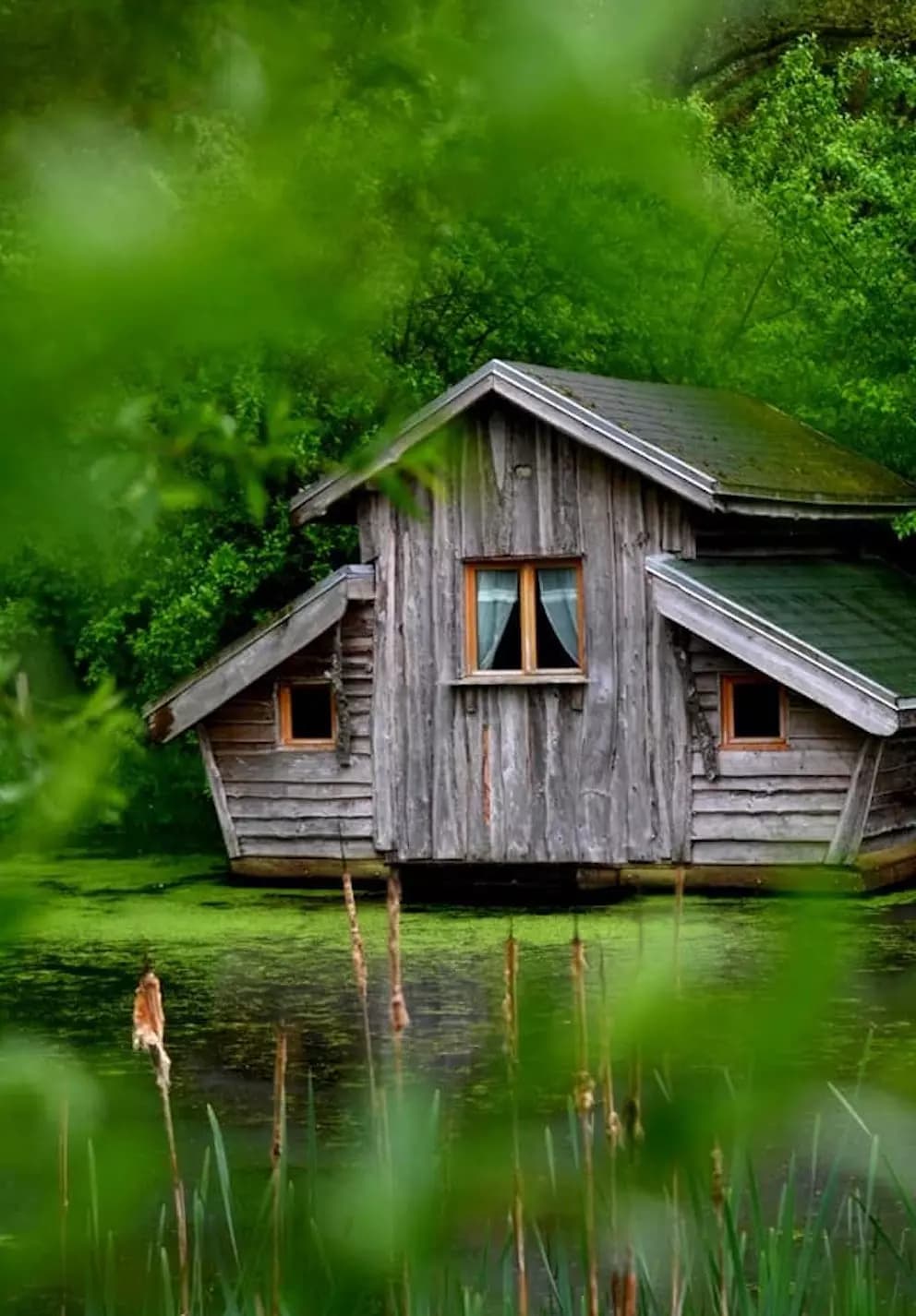 image gallery