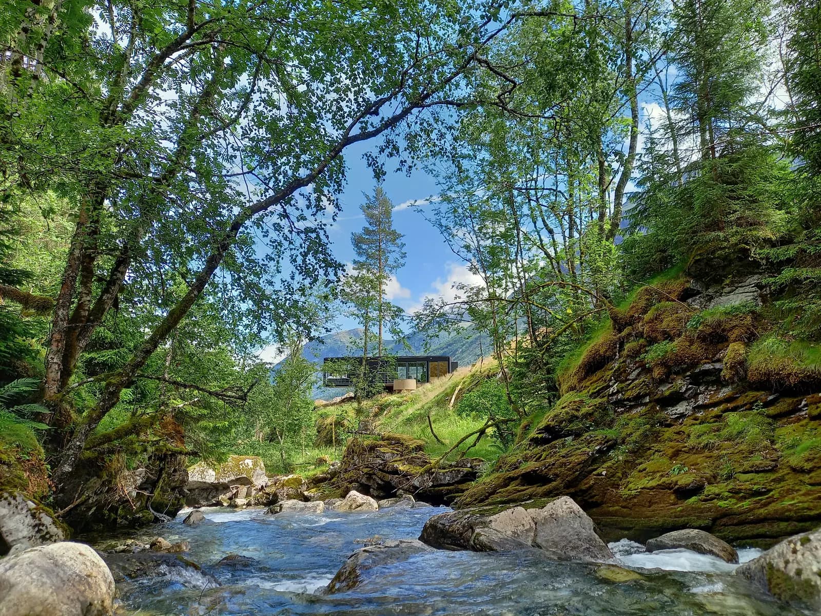 image gallery