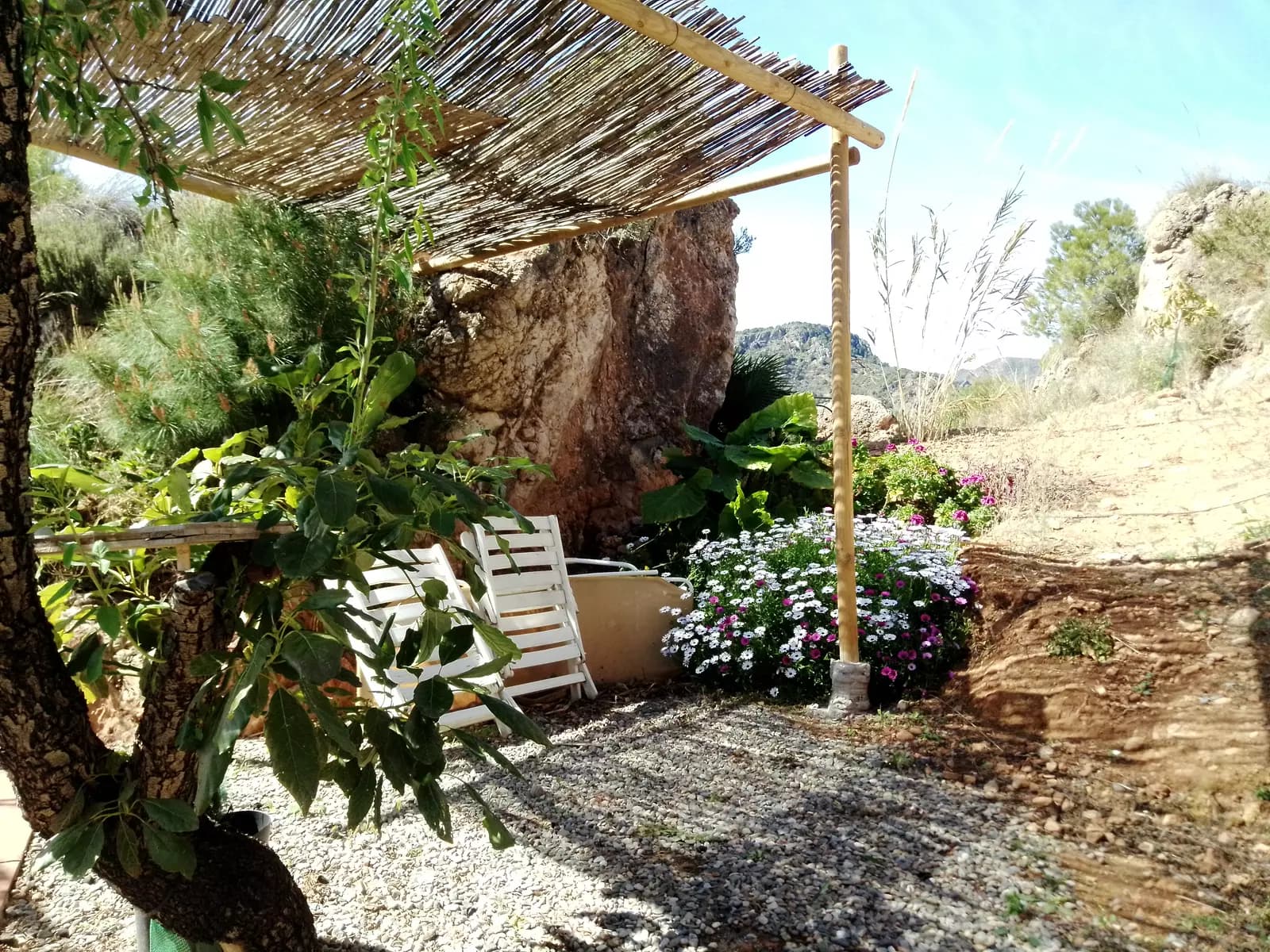 image gallery