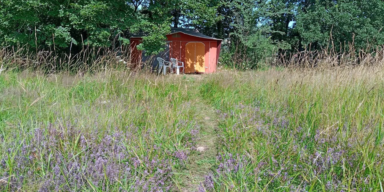 image gallery