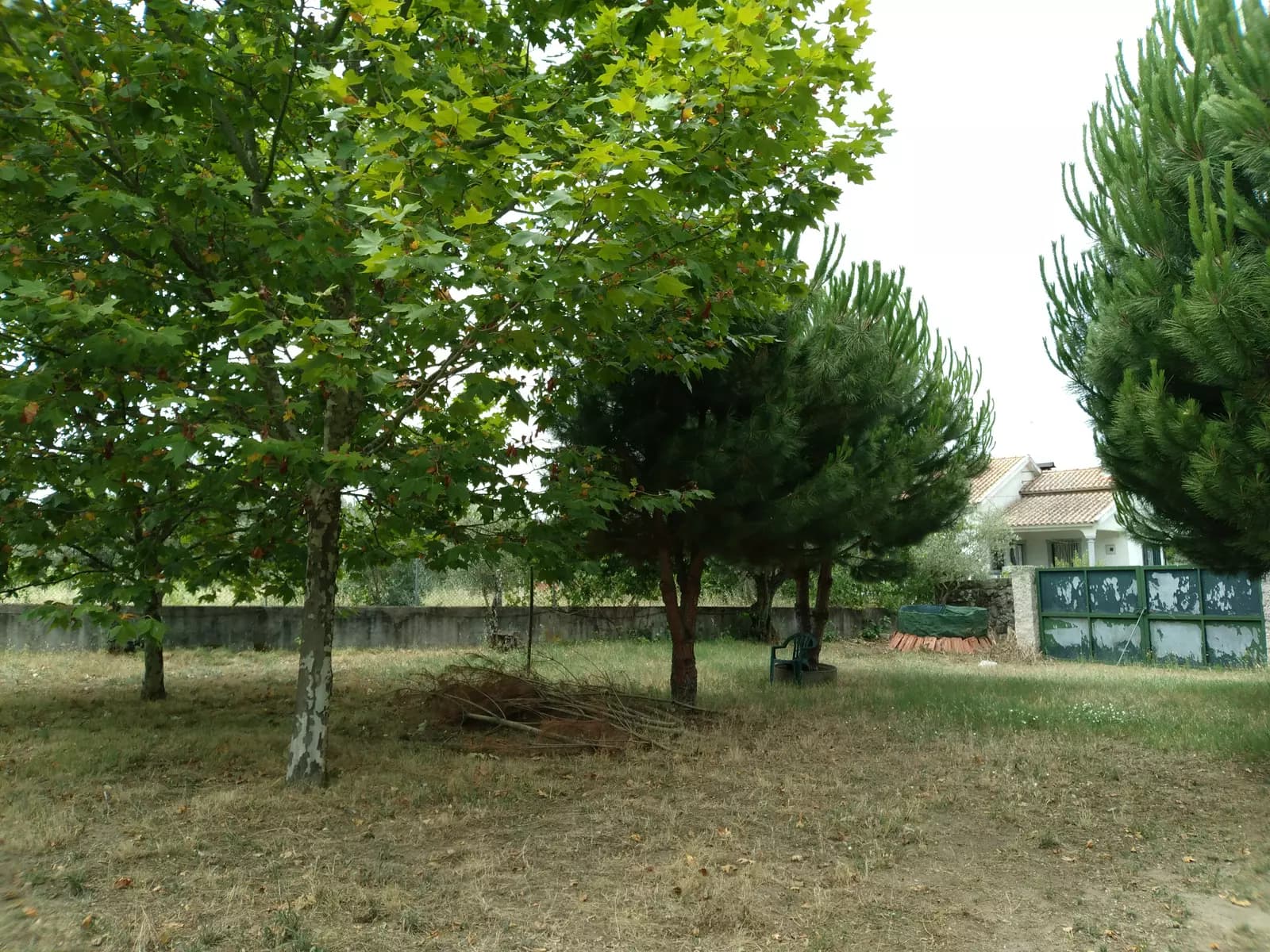 image gallery