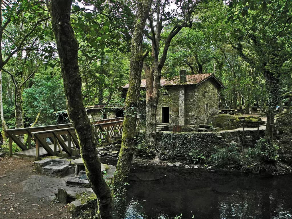 image gallery