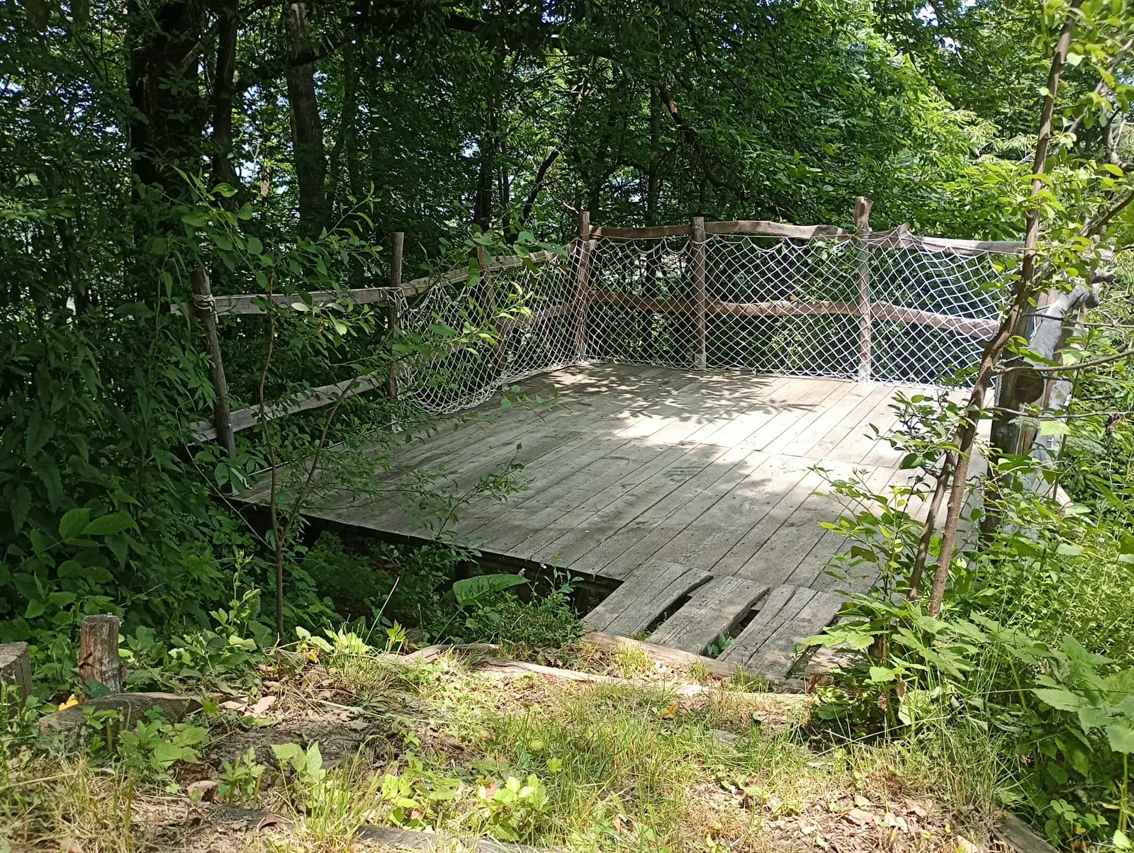 image gallery