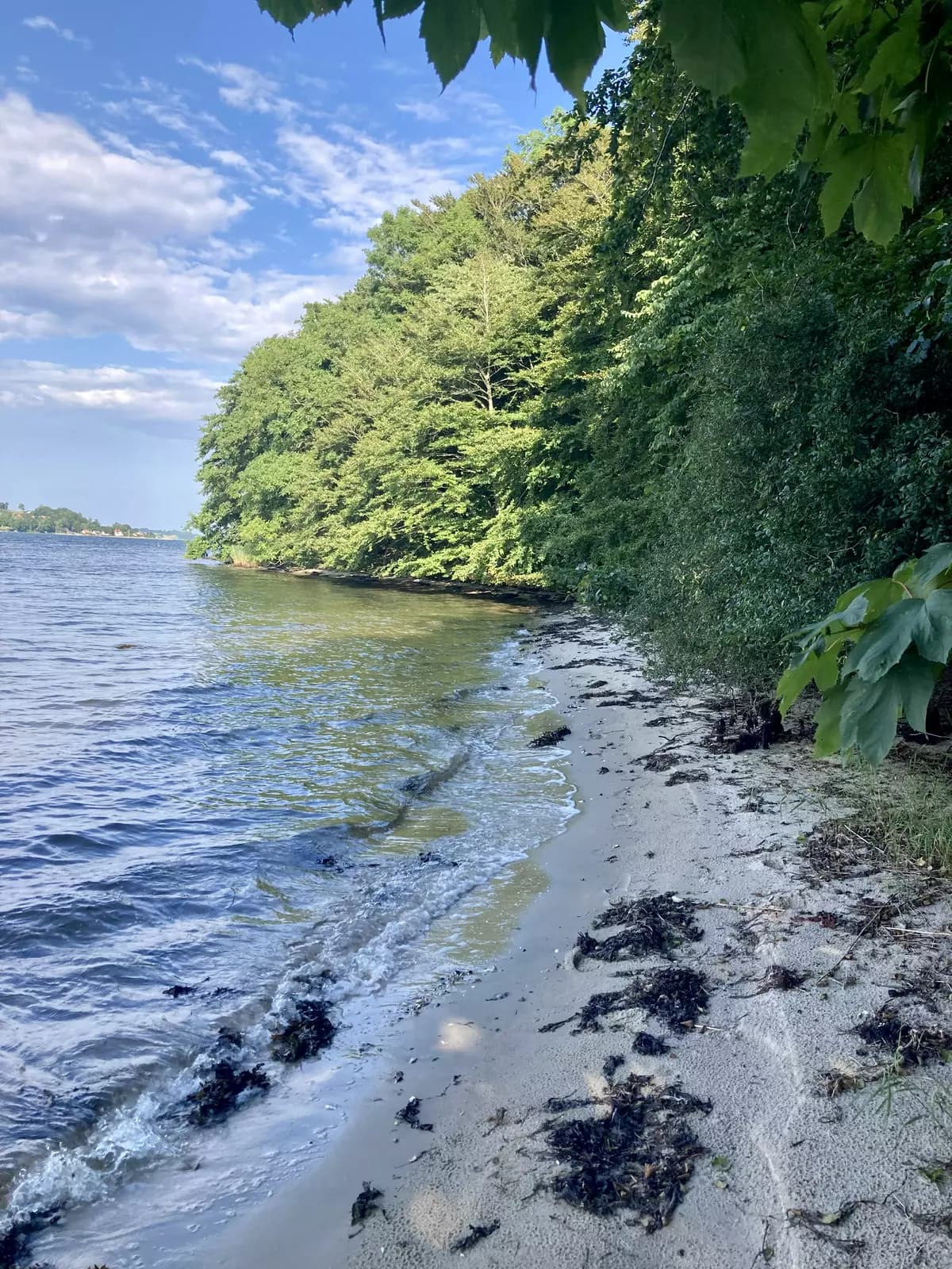 image gallery
