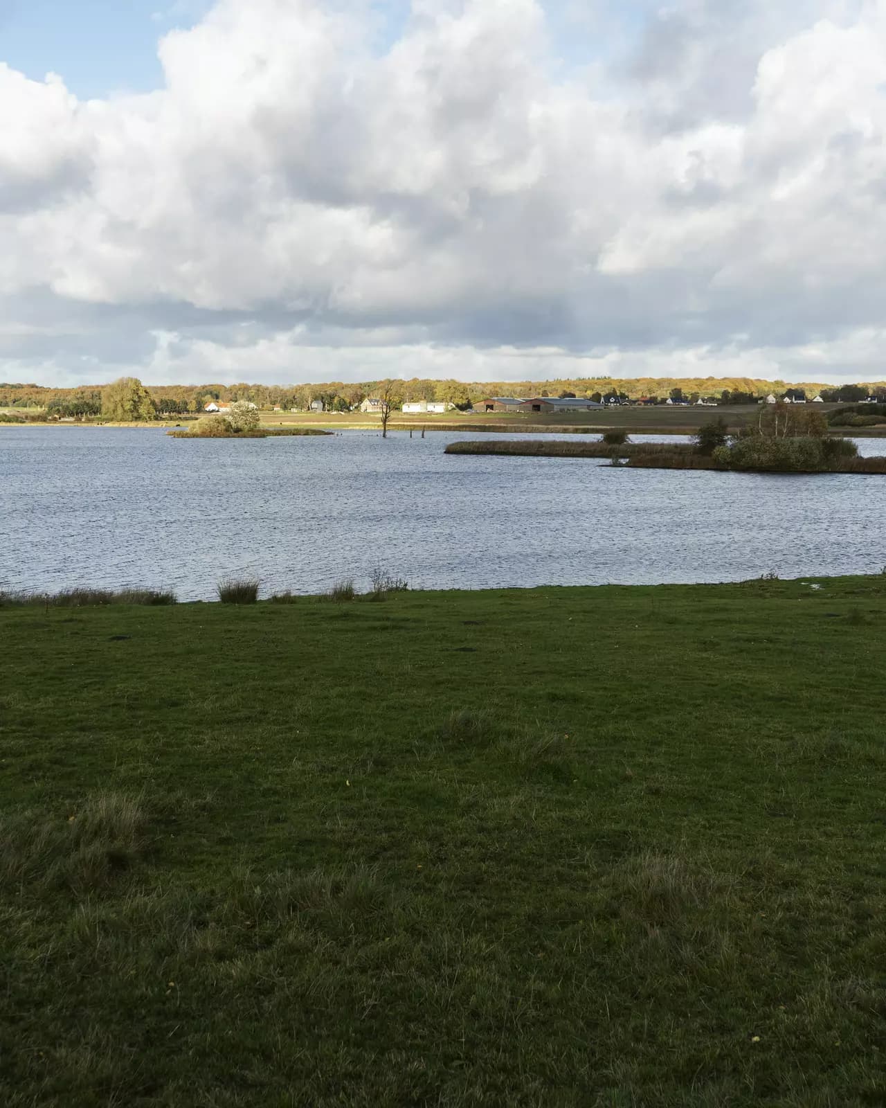 image gallery
