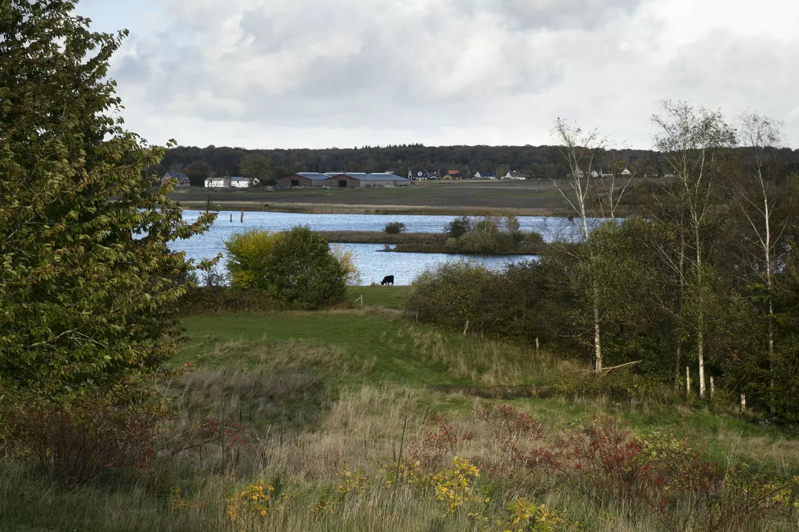 image gallery