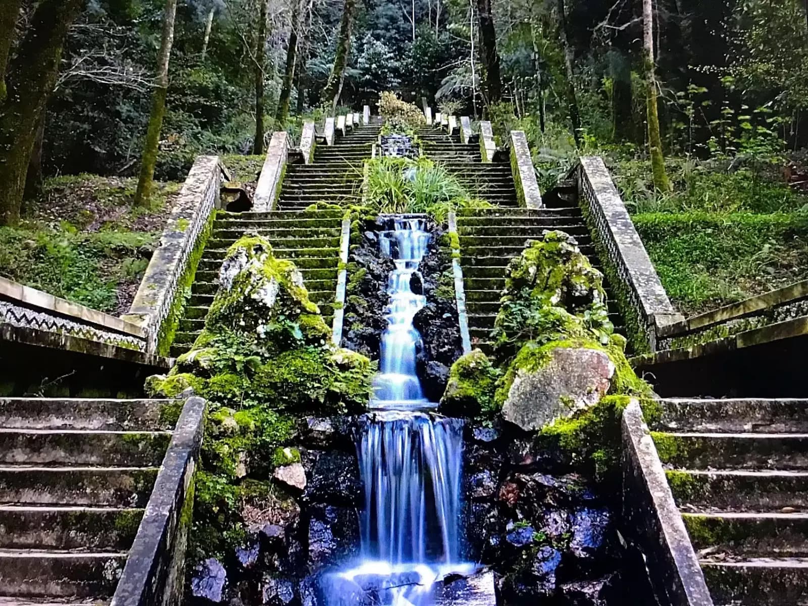 image gallery