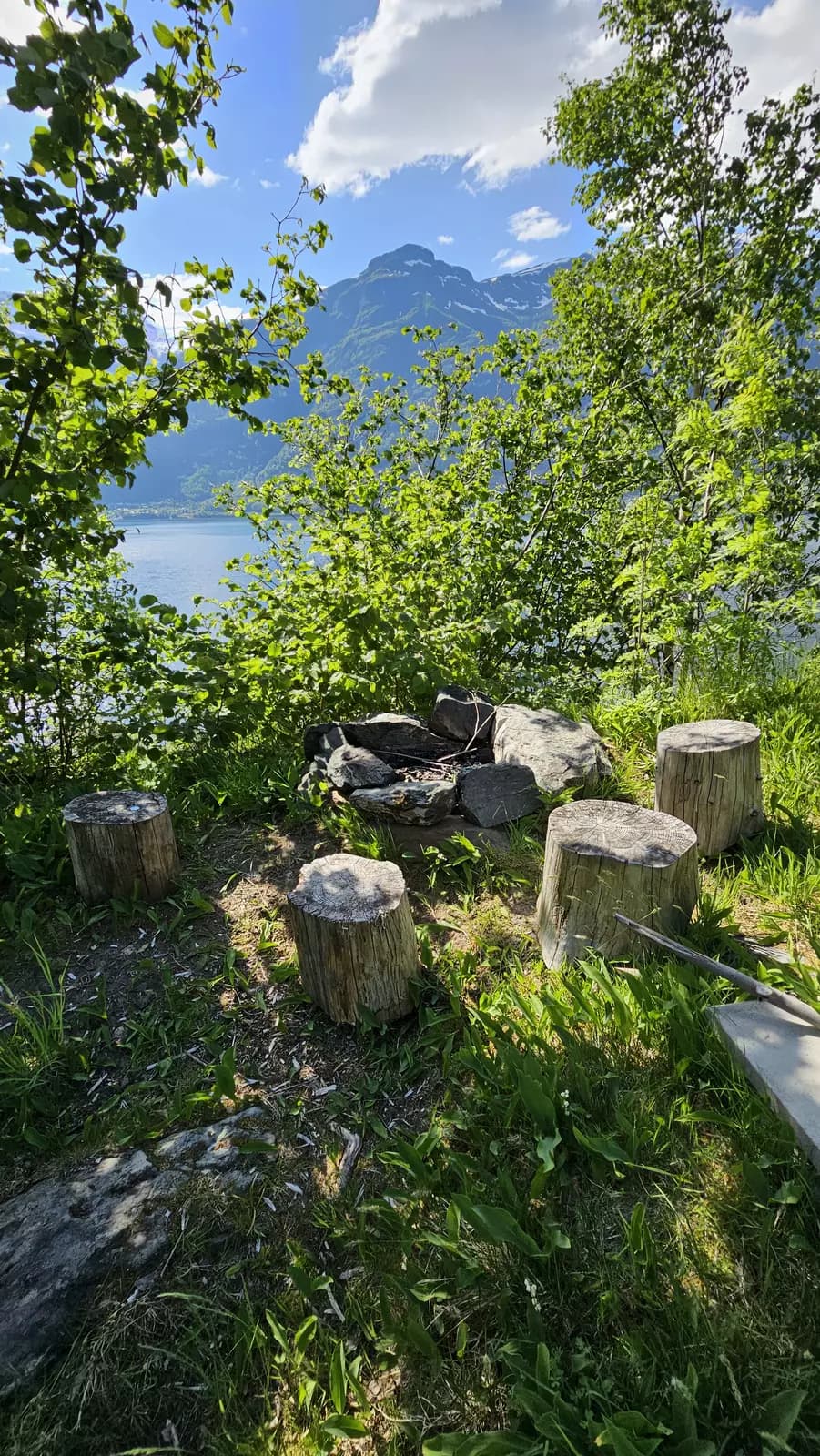 image gallery