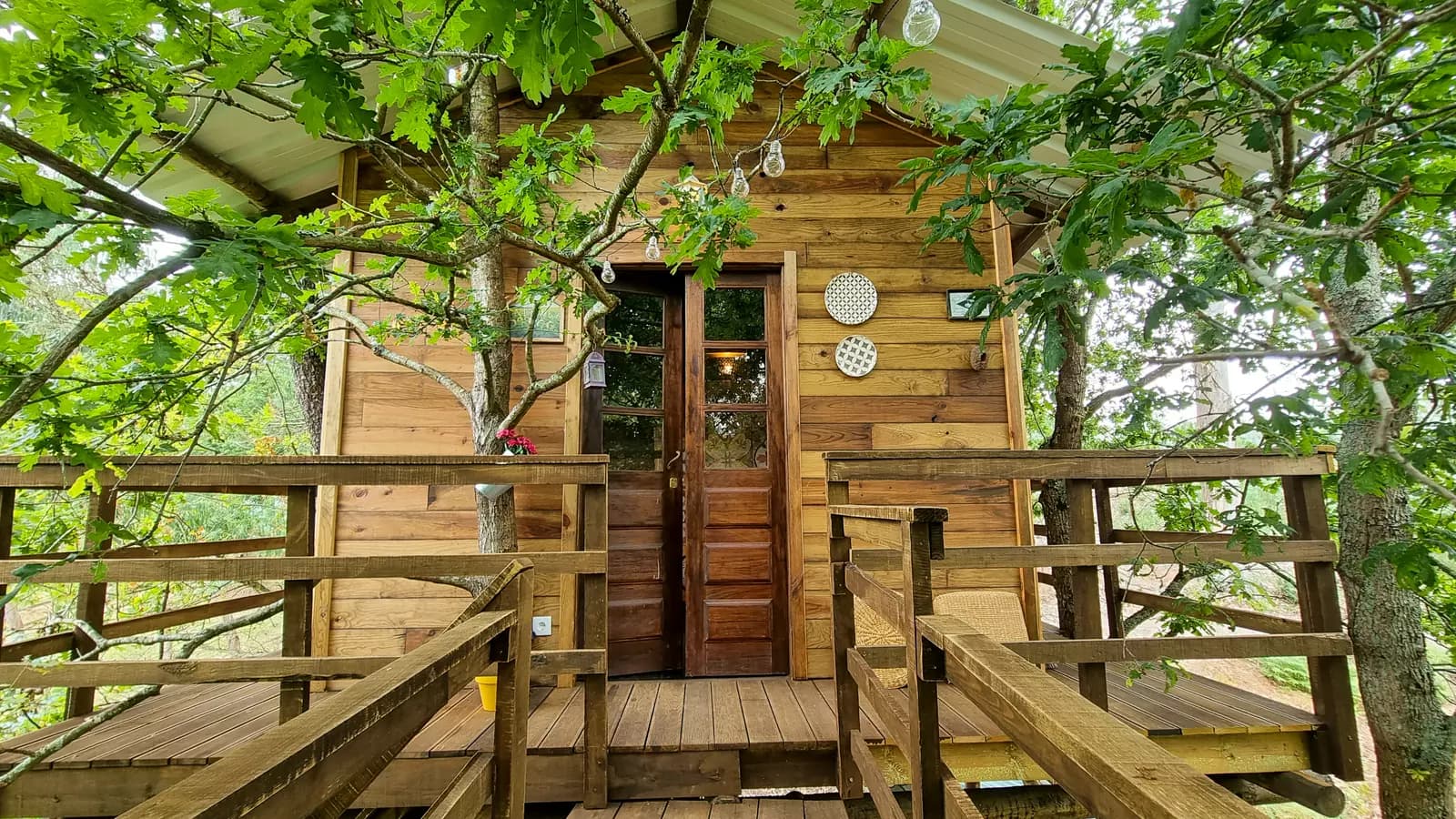image gallery