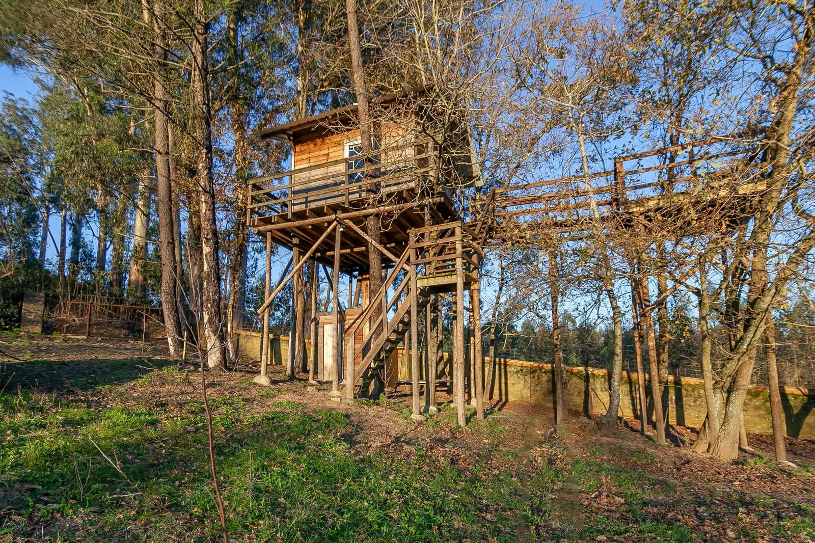 image gallery