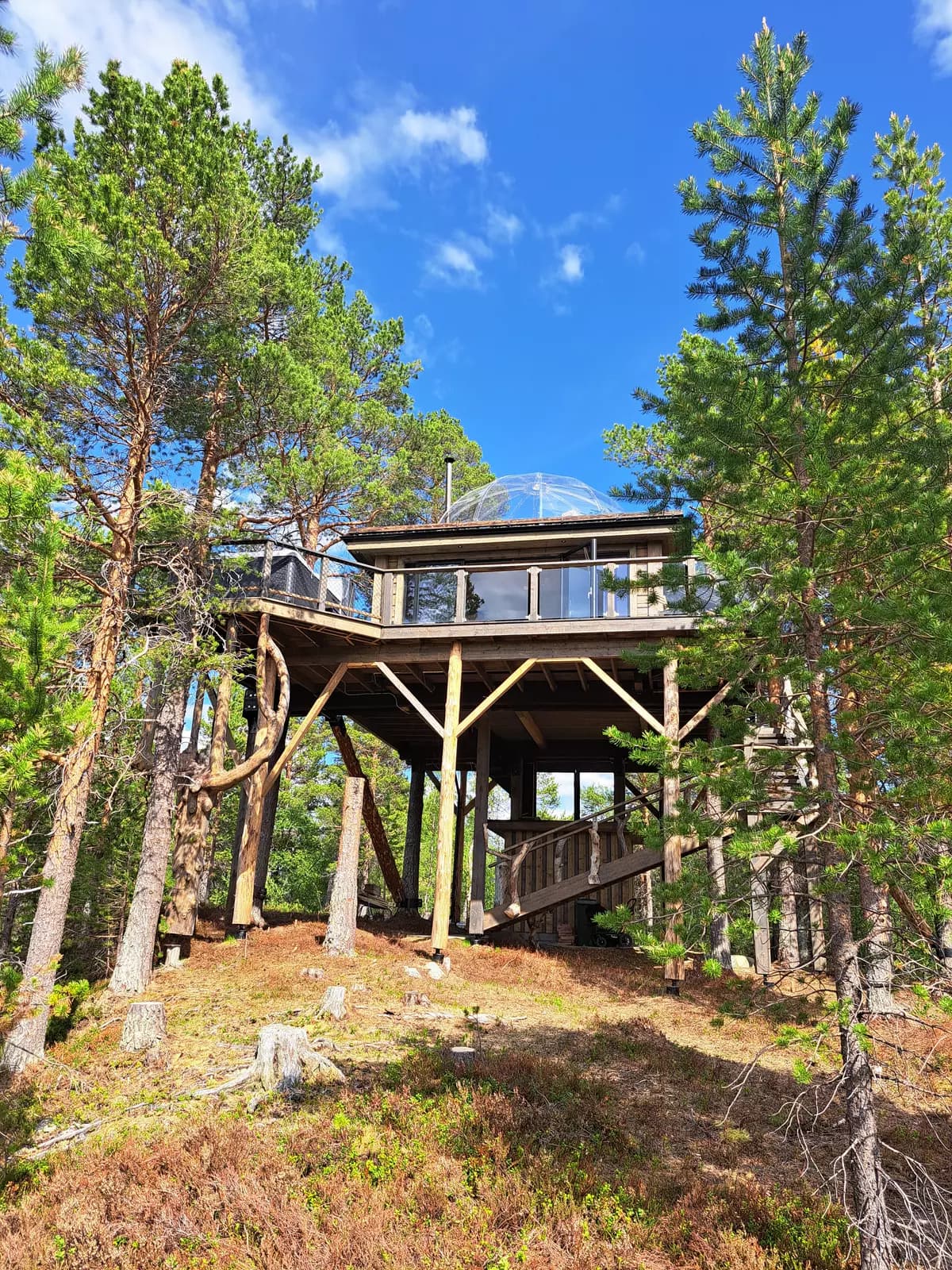 image gallery