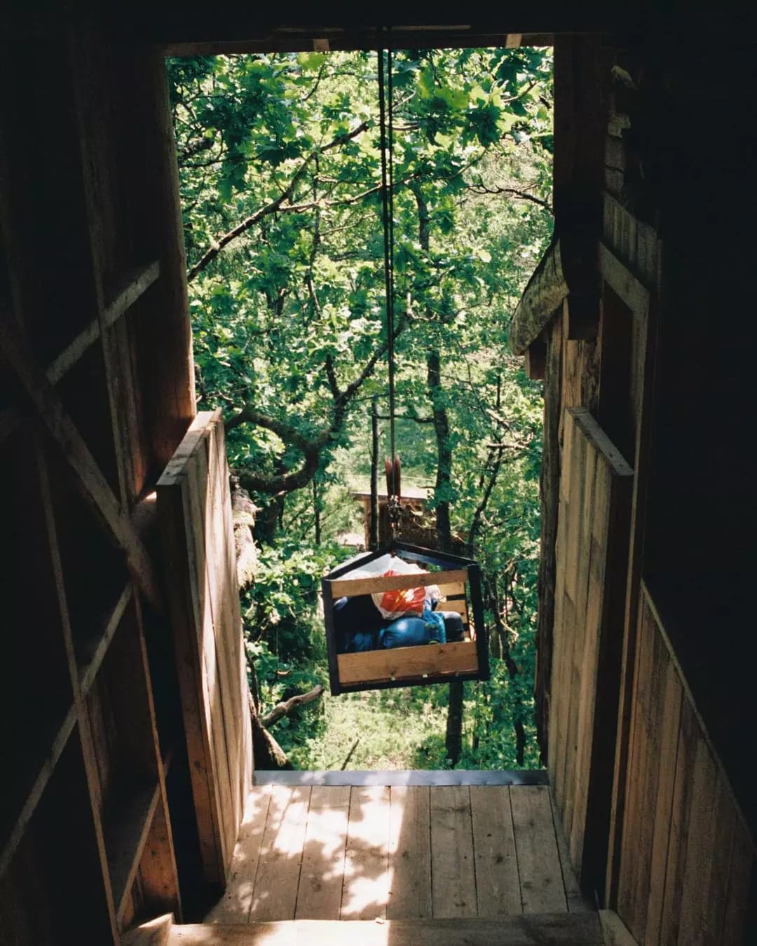 image gallery