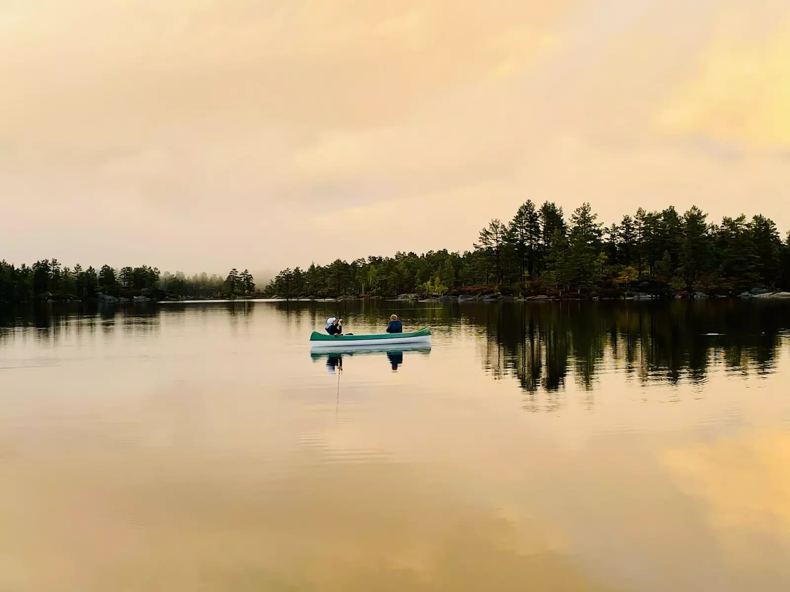 image gallery
