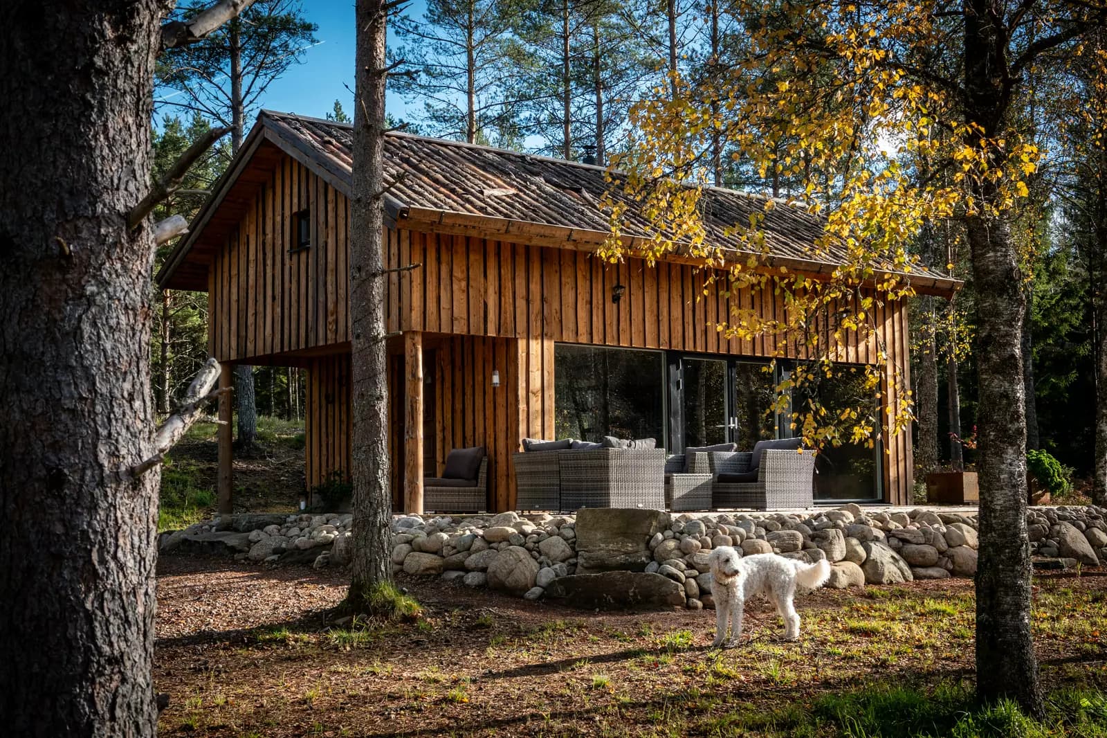 image gallery