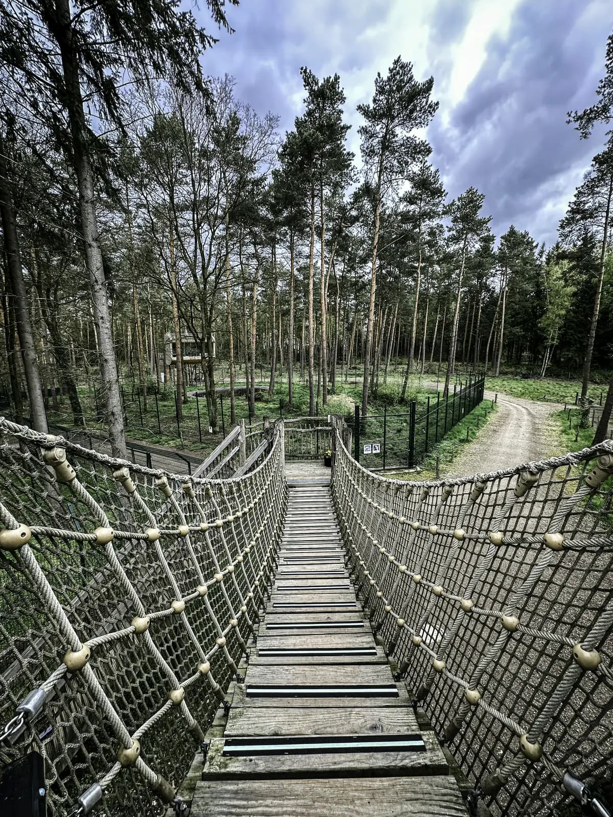 image gallery