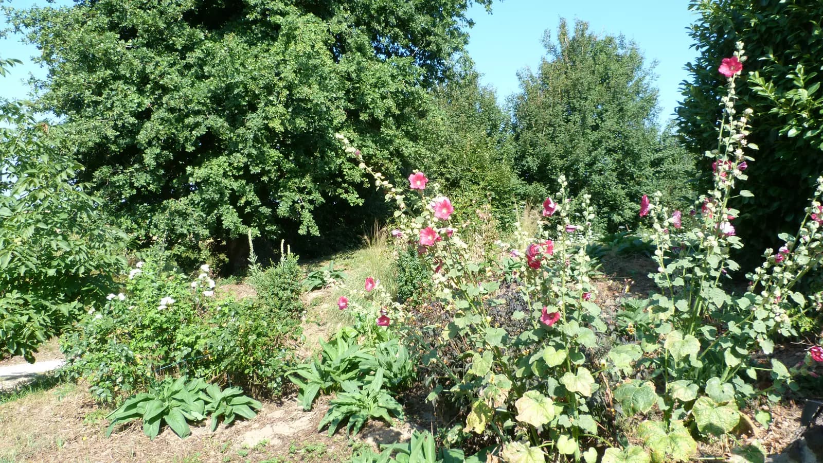 image gallery