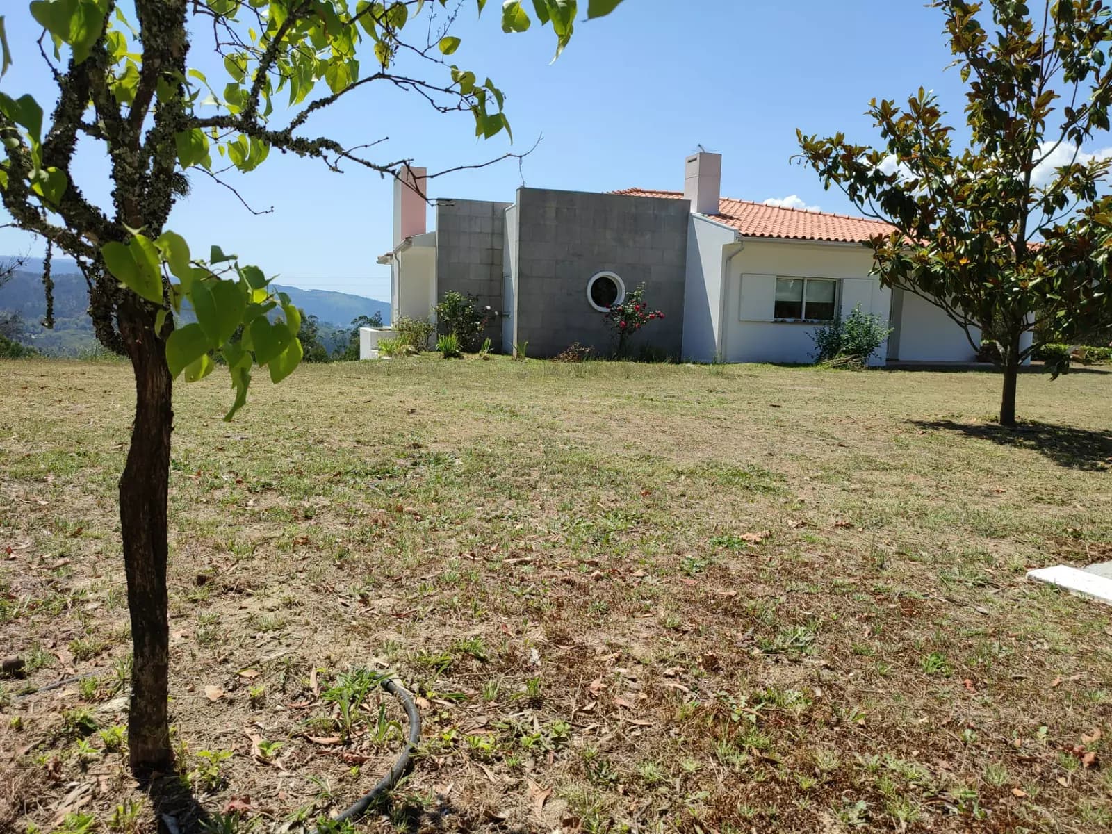 image gallery