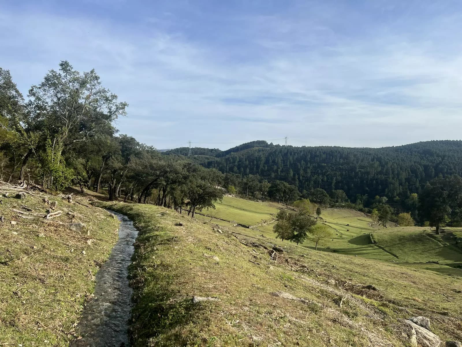 image gallery