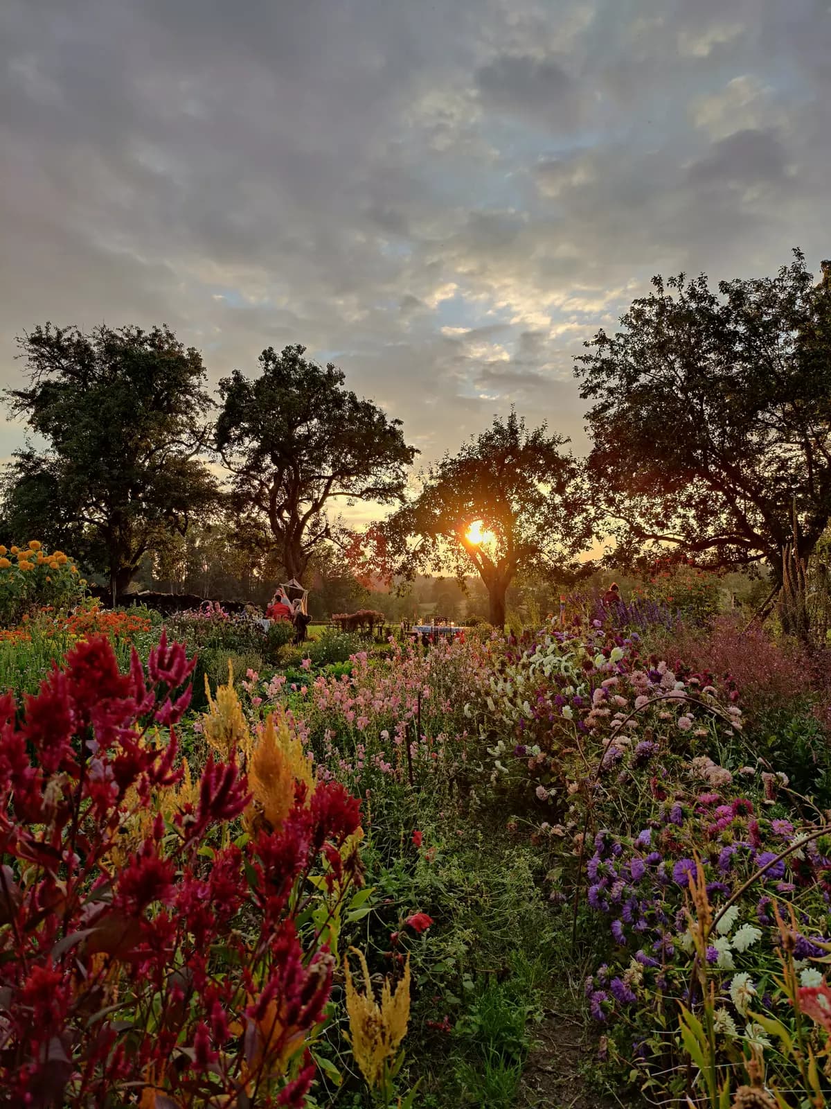 image gallery