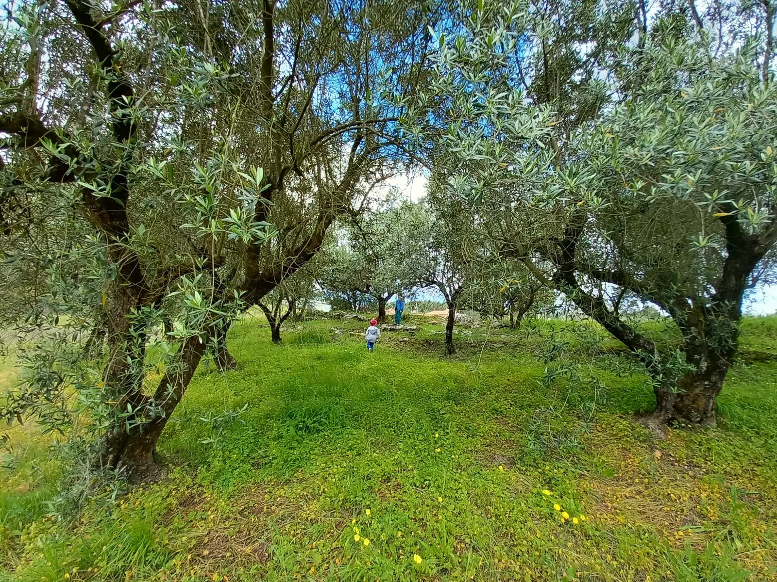 image gallery