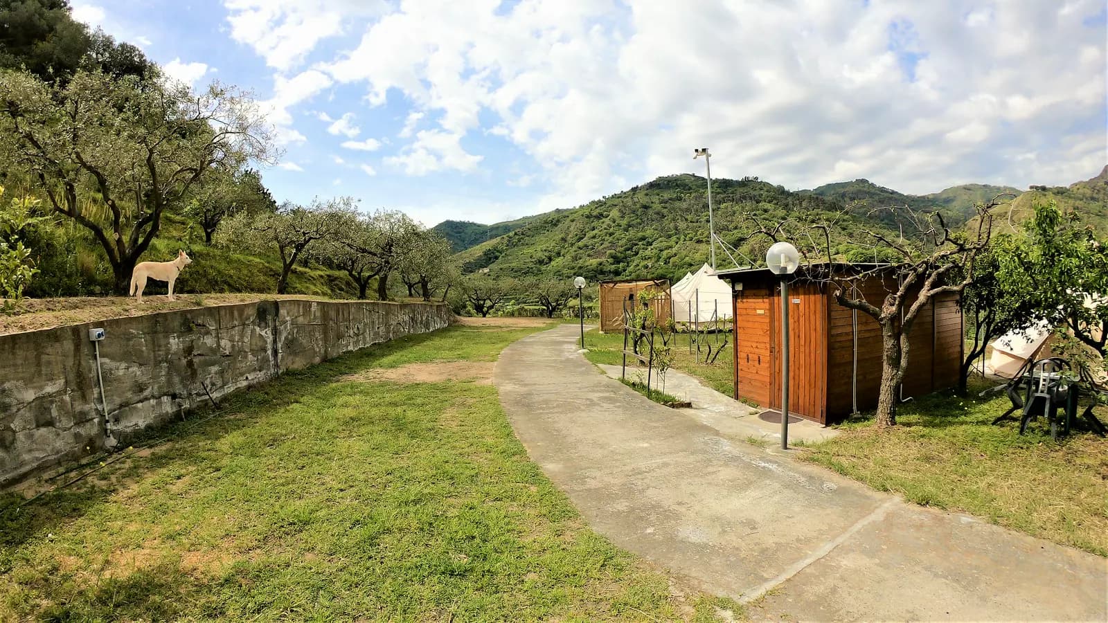 image gallery