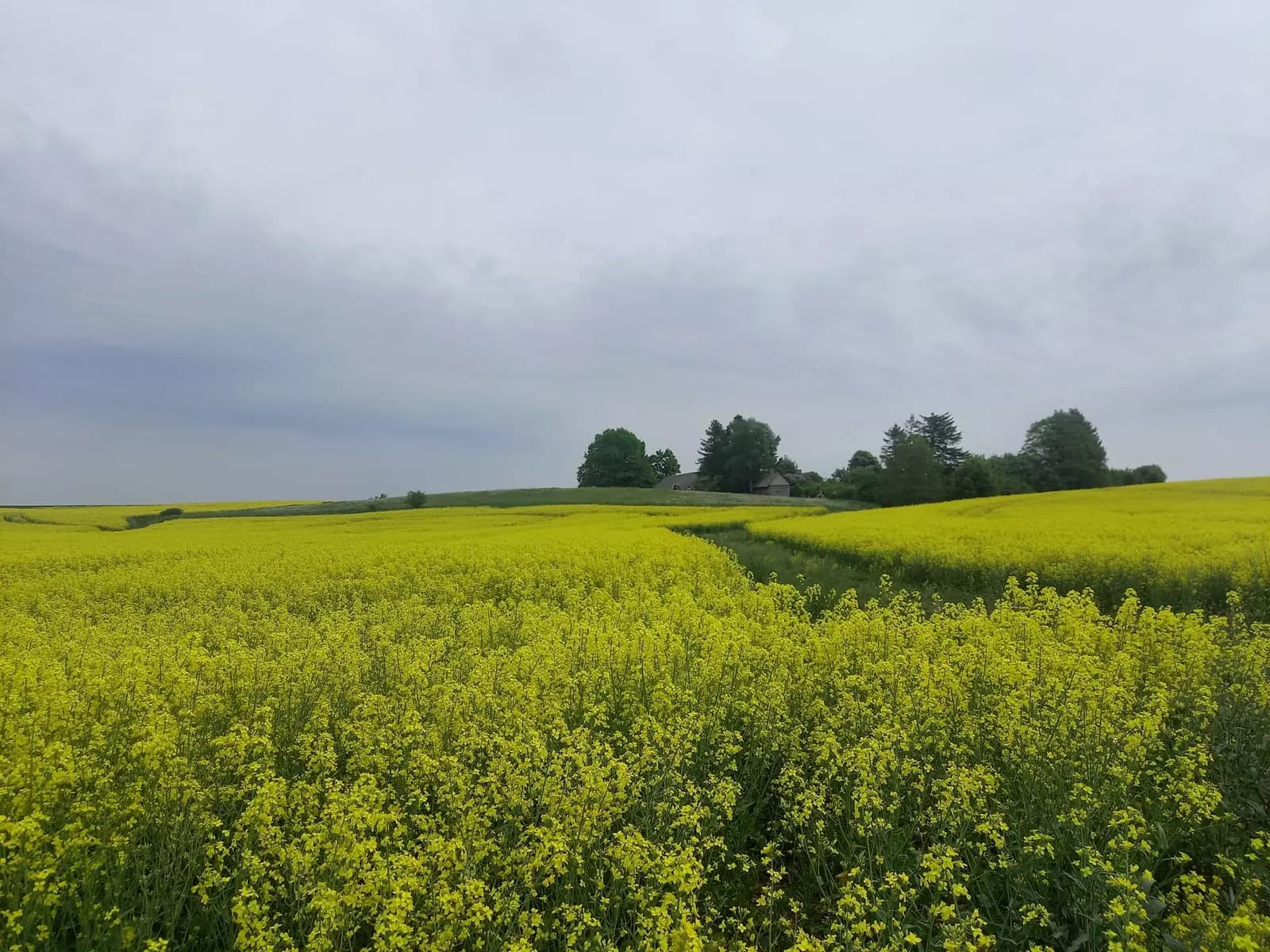 image gallery