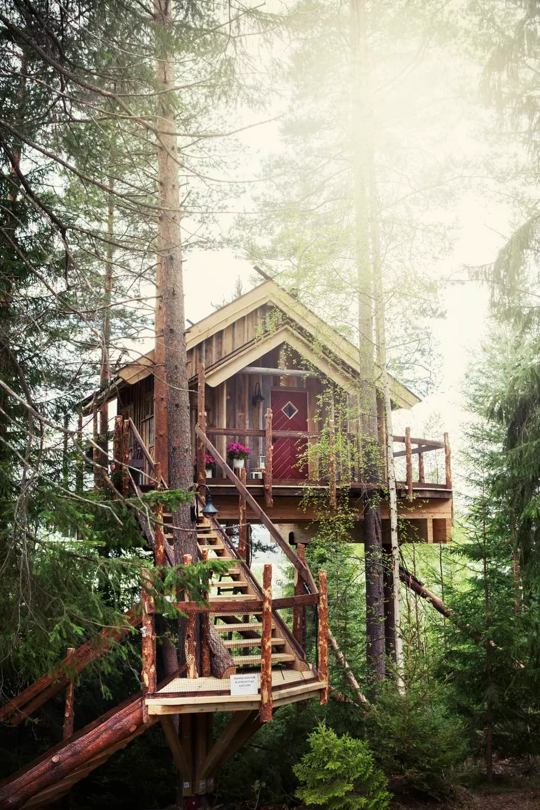 Tree top hut - Klatrehytta